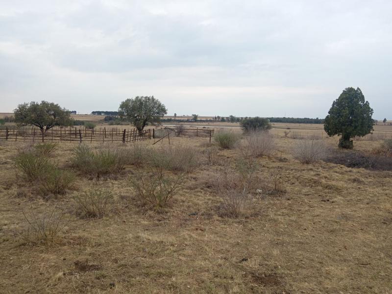 3 Bedroom Property for Sale in Kroonstad Free State